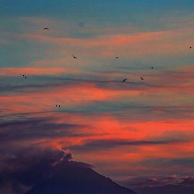 印尼伊布火山喷发火山灰柱达7000米